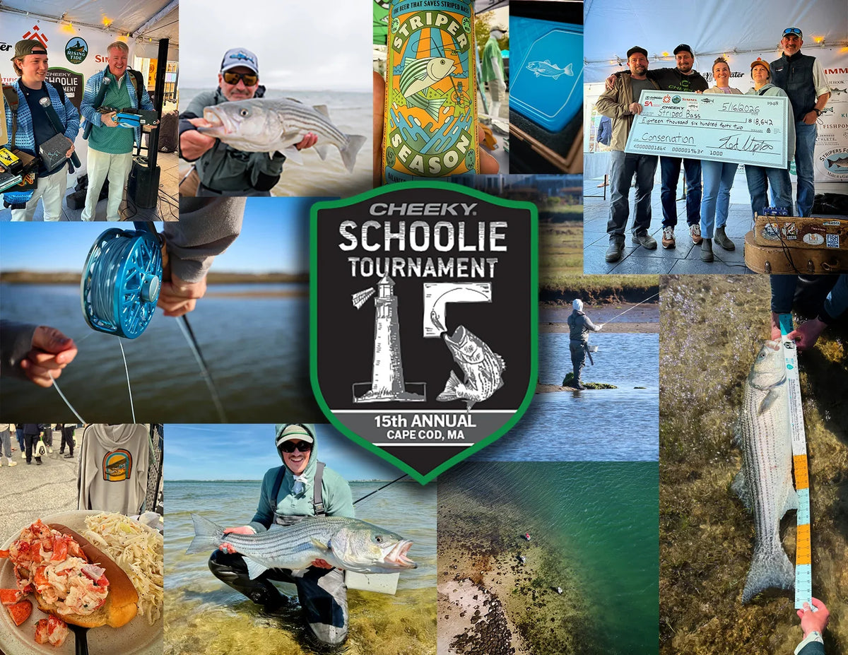 2026 Schoolie Tournament Recap