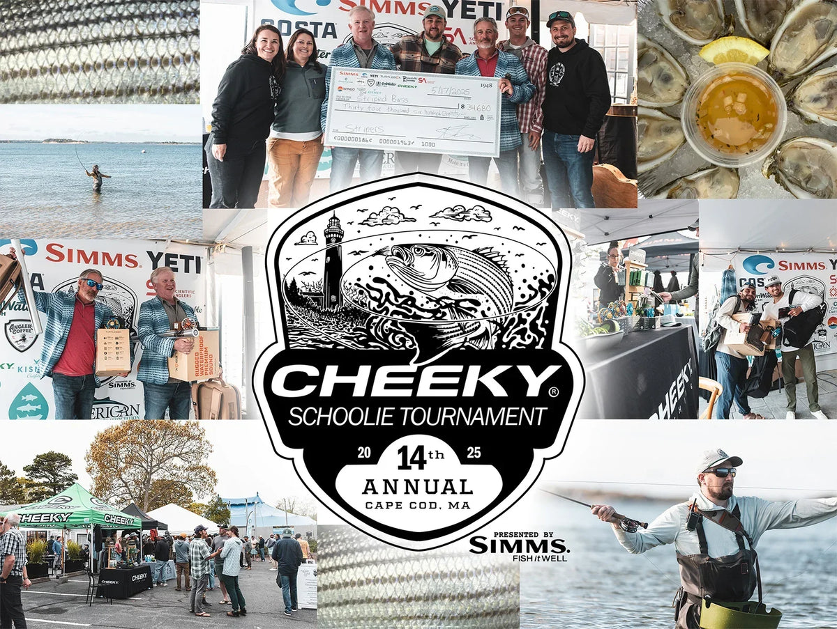 2025 Schoolie Tournament Recap