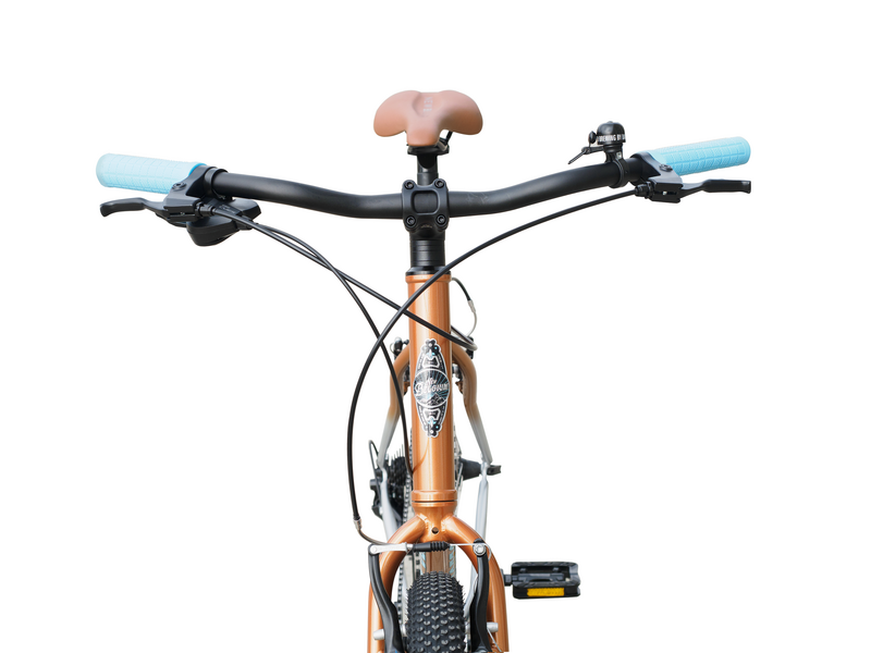 New belgium bicycle sale